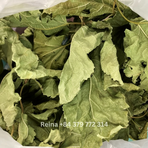 Té de morera de hierbas rico en antioxidantes y perfecto para la pérdida de peso suministro a granel de Vietnam - Product Image 1