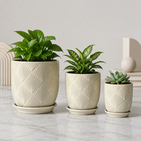 Pot Tanaman Sukulen Kaktus Keramik Kecil Kreatif Desain Modern Sederhana untuk Dekorasi Meja Balkon
