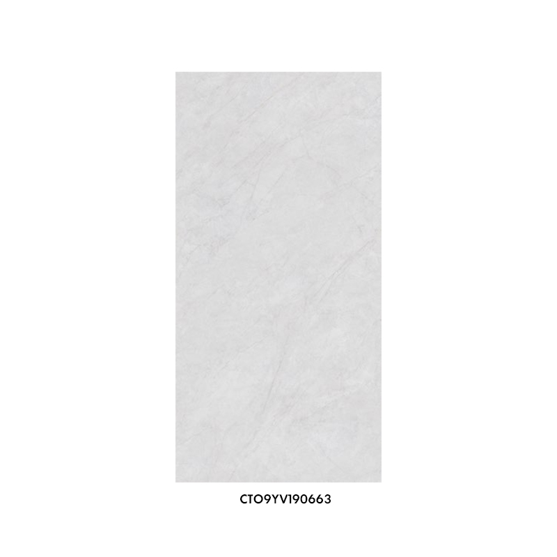 CT09YV190663