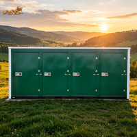 Conteneur de stockage pliable portable de 20 pieds, structure en acier mobile à emballage plat avec 4 portes latérales
