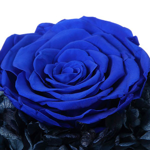 Fiore conservato rosa novità capodanno matrimonio natale regali del ringraziamento festa della <span class=keywords><strong>mamma</strong></span>-regali-a buon mercato ti amo <span class=keywords><strong>regalo</strong></span> <span class=keywords><strong>mamma</strong></span> - Product Image 6