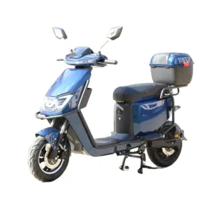 Large storage space electric motorcycle baggage cargo motorbike e scooters van moto food cart supplier