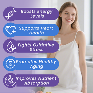 OEMプライベートラベル高効力スーパーアンチオキシダントカプセルサプリメント、ハーブエキス配合、レスベラトロール、コエンザイムQ10入り - Product Image 4