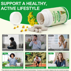 ArtoaLabs 促进自然能量释放 红景天复合片 免疫健康 红景天提取物复合片 - Product Image 5