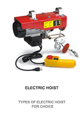Palans électriques à câble métallique de type PA Baot Mini 500 kg 220 V monophasé certifié CE avec télécommande 12 m en acier, nouveau palan de construction