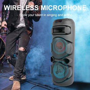 SING-E ZQS2801 8 Inch*2 <strong>Speaker</strong> Outdoor Portable Trolley Audio <strong>Speaker</strong> <strong>DJ</strong> <strong>Speaker</strong> <strong>System</strong> Subwoofer Sound Box With LED Light - Product Image 2