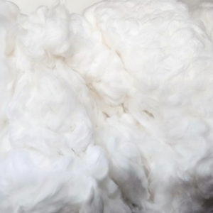 Huile de coton blanc blanchi non blanchi disponible pour la filature avec la meilleure qualité 2024 (Ms.Xavia + 84333371330) - Product Image 1