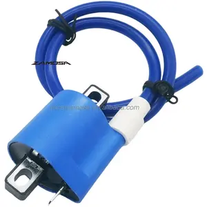 RTS RACERZAMOSA High Performance CG125 RX 150 YBR 125 AKT125 FT125 YBR125 RX150 FT 125 AKT 125 Racing Ignition Coil