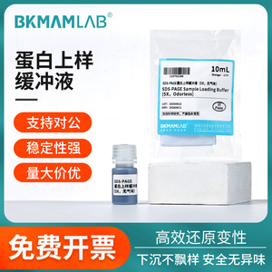 Bikman 5X บัฟเฟอร์โหลดโปรตีนชีวภาพขนาด10มล. การลดหน้าการทดลองด้วยอิเล็กโตรโฟรีซิส - Product Image 5