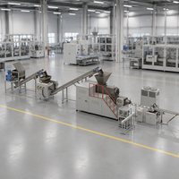Machine professionnelle complète pour la fabrication de savon en barre, de tablettes effervescentes pour lessive et de savon solide