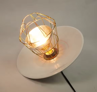 Lampes chauffantes modernes en aluminium pour volailles avec abat-jour pour poulailler, utilisation en ferme, installation facile, garantie 5 ans