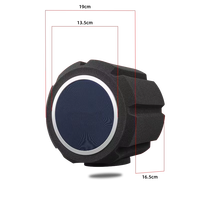 Filtro Pop Profesional de Espuma, Pantalla Acústica de Aislamiento de Sonido, Cubierta de Bola para Micrófono de Grabación en Estudio, Rayco MF-01