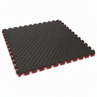 Tapete de Espuma EVA de Cinco Líneas, 100x100cm, 2cm de Grosor, Antideslizante, Absorbente de Impactos, para Taekwondo y Karate, Venta Directa de Fábrica