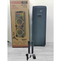 Altavoz Portátil de 10 Pulgadas con Luces Atractivas, Mezclador, para Exteriores, Hogar, Actuaciones en Escenario, Bodas, Bailes, KTV, Audio