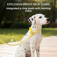 Laisse pour chien en nylon tressé en gros, laisse d'entraînement tout-en-un avec collier coulissant, corde à boucle réglable pour petits et moyens chiens, personnalisable OEM
