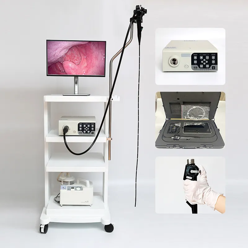 Vente chaude Gastroscope et Colonoscope Système d'endoscopie gastro-intestinale médicale Endoscope Gastroscope Endoscope vétérinaire