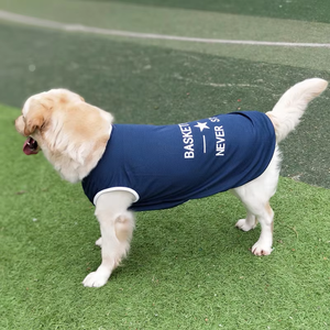 Gilet Estivo Traspirante e Leggero per <span class=keywords><strong>Cani</strong></span>, Abbigliamento Rinfrescante Natalizio per Razze Grandi come Golden Retriever, Labrador, Samoiedo, Border Collie - Product Image 1