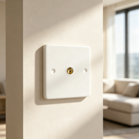 Prise murale coaxiale TV 1 voie à performance stable pour usage domestique et professionnel – Vente en gros de prises électriques pour signal TV