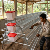 Cage à poules de type A galvanisée à chaud Linchuan, capacité 96-160 poules, conception à étages pour économiser l'espace, idéale pour les fermes avicoles