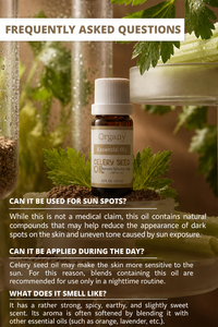 Aceite Esencial de Semilla de Apio Turco 100% Puro (Apium graveolens) Destilado al Vapor, Venta al por Mayor, Marca Privada, OEM para Perfumería - Product Image 6