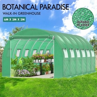 Serre de promenade dans la serre Tunnel pour plantes Abri de jardin Dôme 6x3x2m