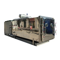 Professionele Leverancier Bloemen Vriesdroogmachine/Vriesdroogmachine/Voedsel Vriesdrogermachine
