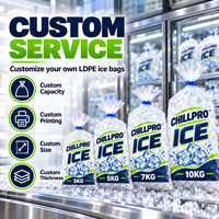 Sac d'emballage pour glace en LDPE durable, étanche, capacité de charge 3kg, 5kg, 7kg, 10kg, pour la vente en gros, ODM, OEM, destiné aux marchés de fruits de mer et à la chaîne du froid