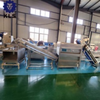 Kls 304 Roestvrijstalen Automatische Industriële Uienschilmachine Hete Verkoop Fruit & Groente Verwerkingsmachine