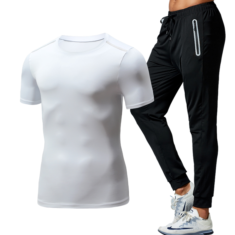 White-508