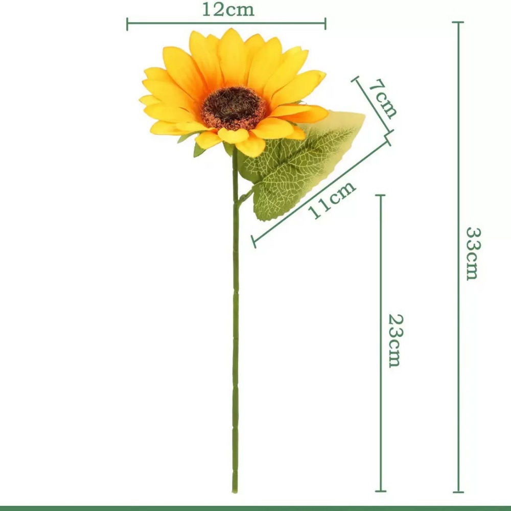 Tournesol latin