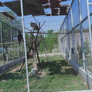 말레이시아 시장 아연 도금 체인 링크 펜스 가격, 쿠알라룸푸르 산업 보안 경비용 사이클론 와이어 메쉬 - Product Image 2