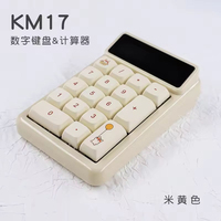 Teclado USB Mini Portátil Rosa al por Mayor, 17 Teclas, Teclado Numérico para Contabilidad Financiera, Nuevo, Mecánico, de Plástico
