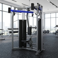 Machine à poulies doubles avec charge de poids de 75 kg, équipement de gym en acier pour poulie haute