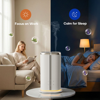 Diffuseur d'aromathérapie USB rechargeable en plastique pour maison et hôtel, à double buse, sans eau, atomisation, 1 an de garantie, vente chaude