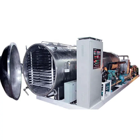 Optie Leveren Direct Gesublimeerde Dehydrator Machine Vacuüm Vriesdroger Voor Vlees Zeevruchten Groenten Effectieve Motor
