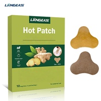 Patch au gingembre personnalisé en gros pour le bien-être quotidien et le soulagement des tensions musculaires