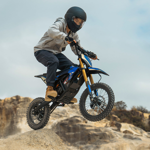 Moto tout-terrain DX1 avec cadre en chromoly, VTT électrique 48V 1500W, batterie lithium-ion, vitesse 65 km/h, charge utile 130 kg - Product Image 5