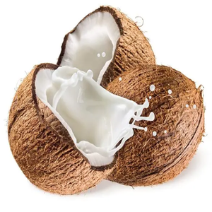 <span class=keywords><strong>Poudre</strong></span> <span class=keywords><strong>de</strong></span> <span class=keywords><strong>Lait</strong></span> <span class=keywords><strong>de</strong></span> Coco Naturelle <span class=keywords><strong>de</strong></span> Qualité Supérieure, Certifiée GMP, Kosher et Halal, Conditionnée sous Vide <span class=keywords><strong>en</strong></span> Fût - Product Image 5