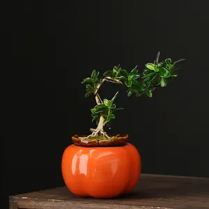 Grosir Murah Pot Tanaman Kecil Berbentuk Persimmon Jeruk Gaya Korea Novelty Keramik Buatan Tangan Pot Bunga Desktop