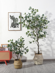 Planta Artificial seca de eucalipto para decoración del hogar, flores <span class=keywords><strong>secas</strong></span> en maceta, hoja de eucalipto Artificial inmortal, bonsái, venta al por mayor - Product Image 2