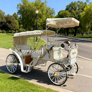 Carroza Real de Caballos para Turismo con Toldo, de Cuatro Ruedas, Vehículo Especial para Turismo, en Oferta - Product Image 2
