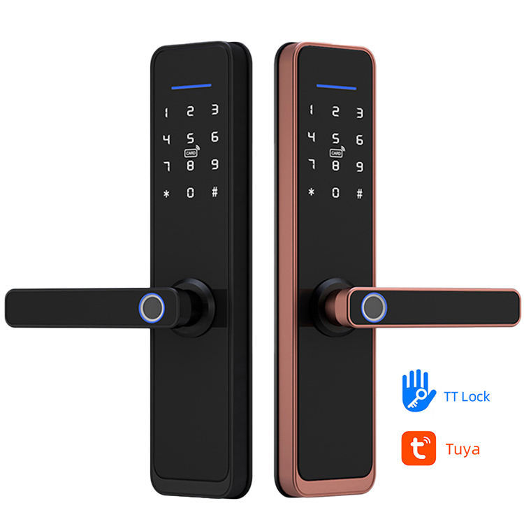 5 in 1 Security Smart Entry