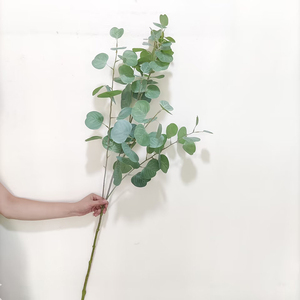 ต้นยูคาลิปตัสประดิษฐ์ใบใหญ่สำหรับตกแต่งบ้านจัดงานแต่งงาน - Product Image 4