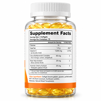 Gélules de Vitamine C Naturelle Premium à Base de Plantes, Service OEM en Gros, Marque Privée, Complément Alimentaire Quotidien pour Adultes pour le Soutien Immunitaire