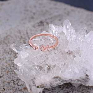 Di nuovo Modo Della Signora del Regalo di Fidanzamento In Oro Rosa 12 Costellazioni Aperto Del Polsino Dito Segno Zodiacale Anello Per Le Donne - Product Image 6