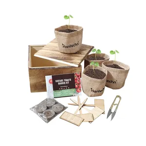 Mini boîte en bois de semis plante d'intérieur herbe jardin herbe démarreur kit de croissance vente en gros bonsaï kit de démarrage