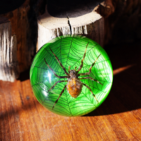 Matériel scolaire : Taxidermie d'insectes réels personnalisable en résine transparente, aides pédagogiques pour l'observation des insectes, spécimens de coléoptères colorés