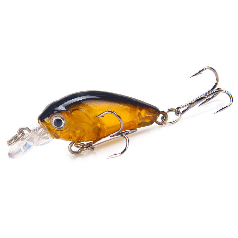 Dos noir et corps jaune #