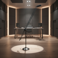 Câble de microphone à condensateur vertical filaire de 10 mètres avec âme métallique, anti-bruit et anti-interférence pour utilisation professionnelle sur scène