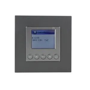 Home Sound System Wireless 2*20W Wall Amplifier with Blue-tooth/TF/AUX/ Water Flow Switch/ 1.5 Inch Display Screen